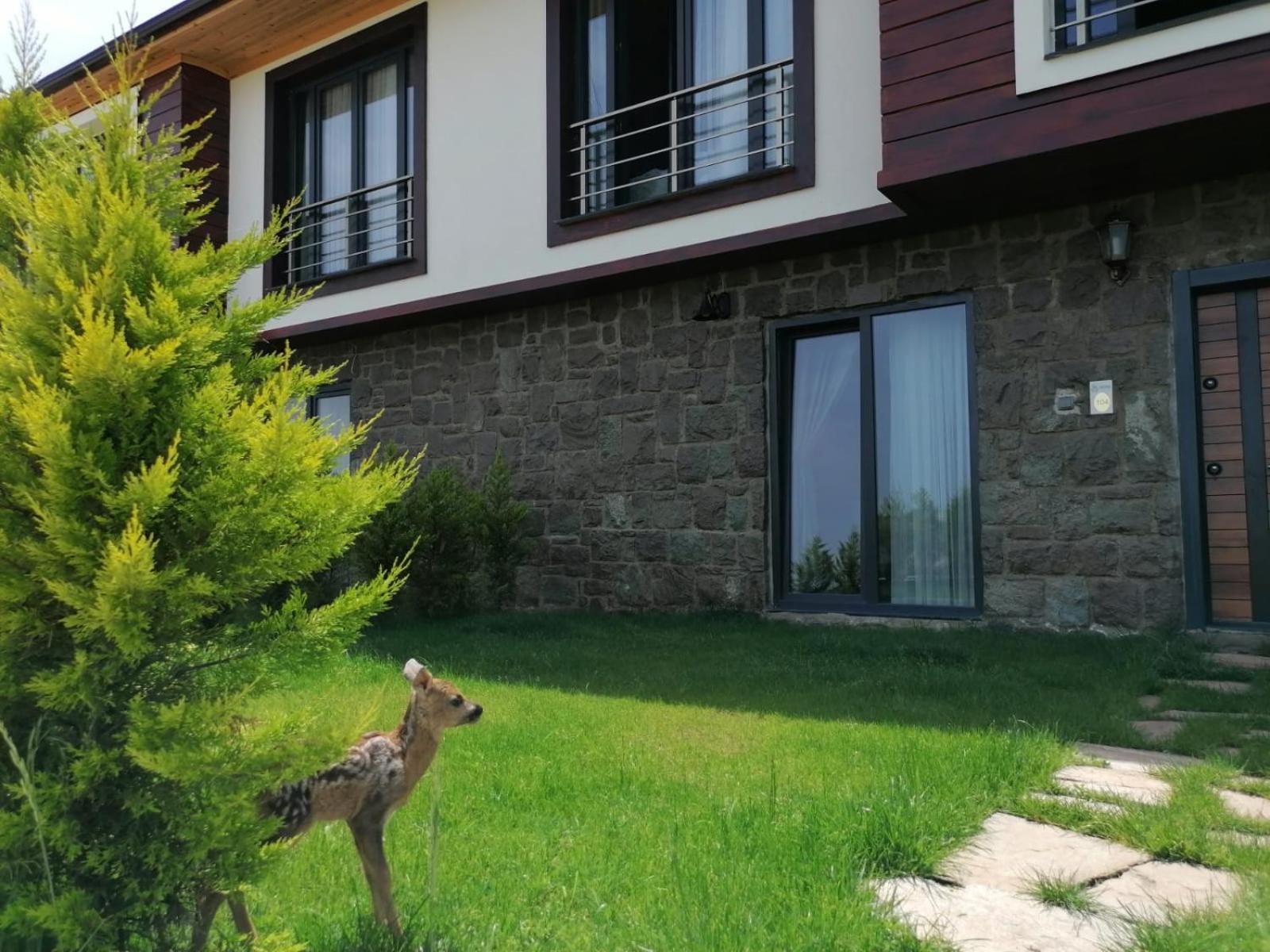 Royal Villa Trabzon Exterior photo